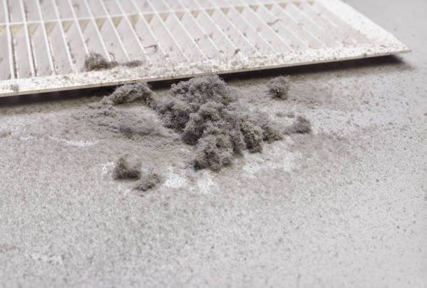 Best Affordable HVAC Duct Cleaning  in Morgantown, IN